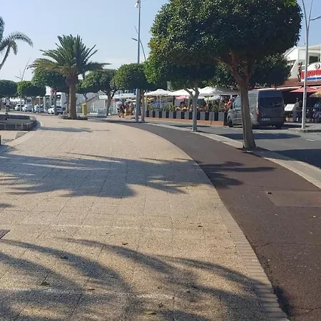 Arbustos Puerto del Carmen (Lanzarote)